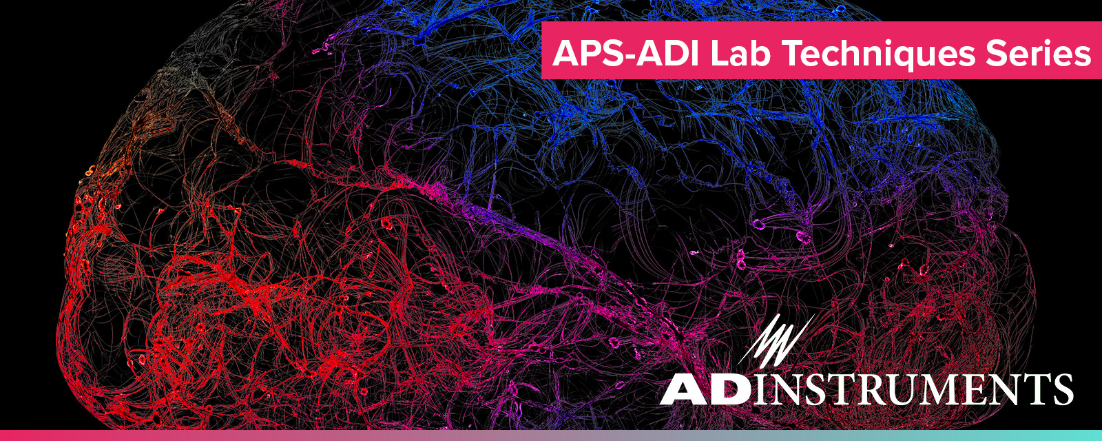 APS-ADI Webinar - Parkinsons - 1600x640