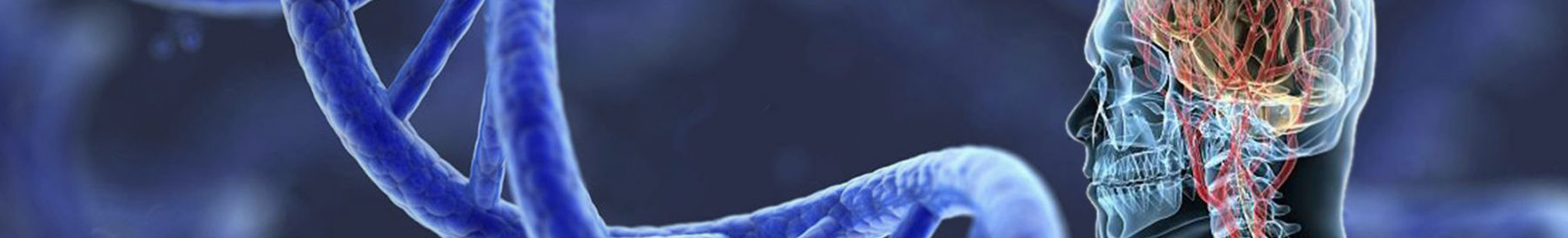 Penn State University