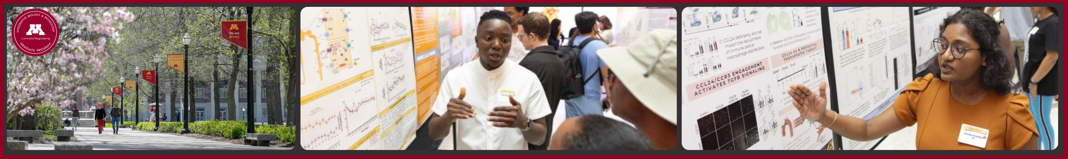 University of Minnesota