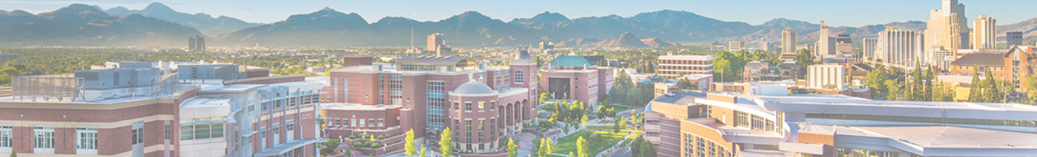 University at Buffalo