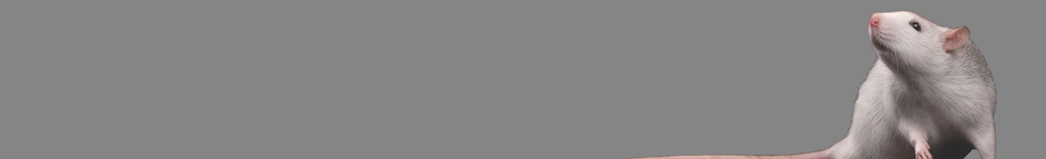 2023 Web Refresh - AMP Tecniplast