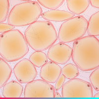 Diversity, Equity and Inclusion Series