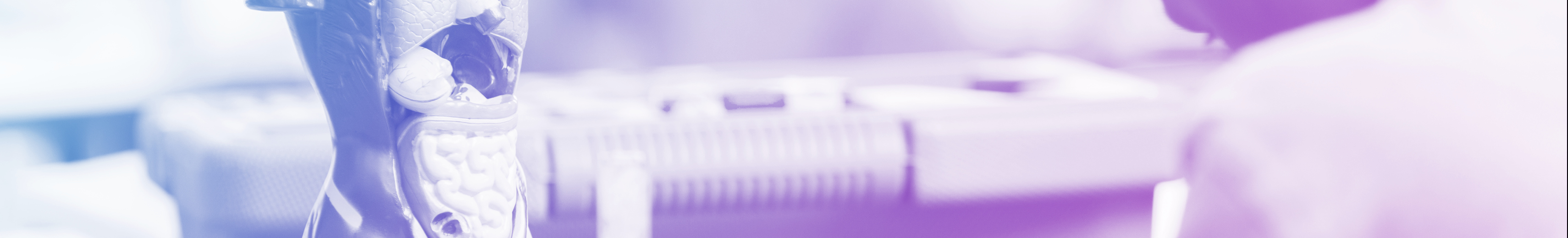 2024 Renal - Banner 3420x520