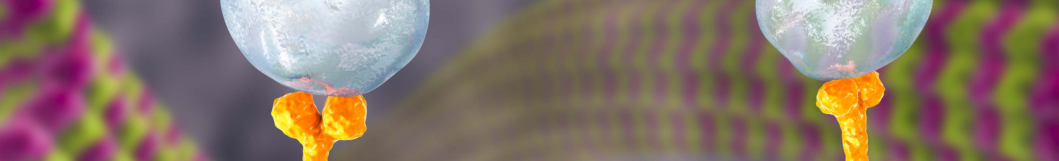 2023 Web Refresh - Endocytosis