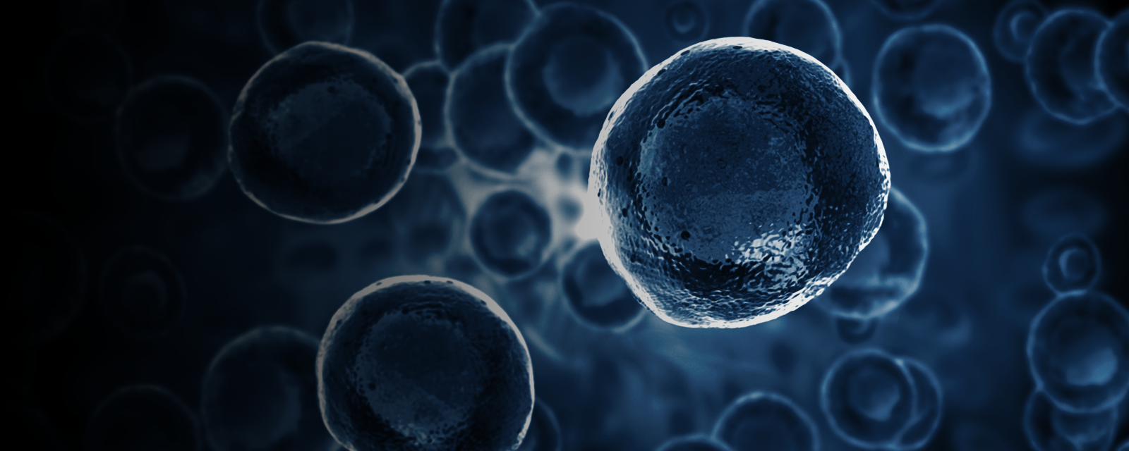 embryonic stem cells_function-1600x640