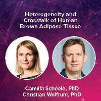 Heterogeneity and Crosstalk of Human Brown Adipose Tissue Webinar