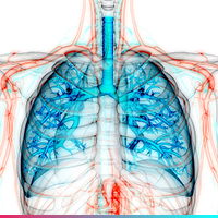 SCIREQ Lung Fibrosis - 200x200