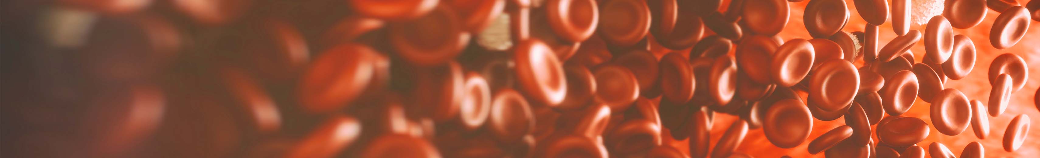 2023 Web Refresh - Transonic