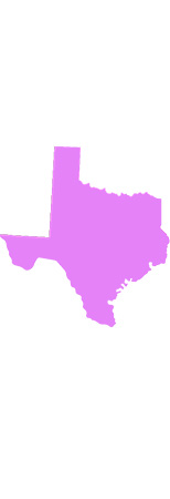 Blue Bonnet Chapter