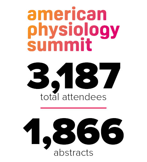 Total Summit Attendees