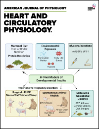 Heart and Circulatory Physiology
