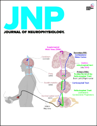 Journal of Neurophysiology