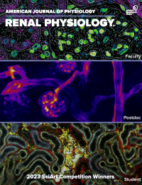 Renal Physiology