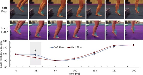Changes in degrees of ankle joint angle over time on soft vs hard floors. The 33 millisecond point is highlighted as the point of the most difference between floor types.