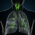 Respiratory 200