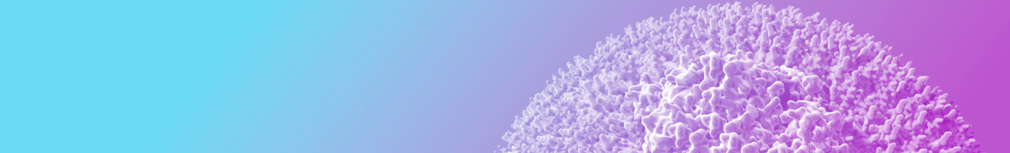 Endo_1600x640