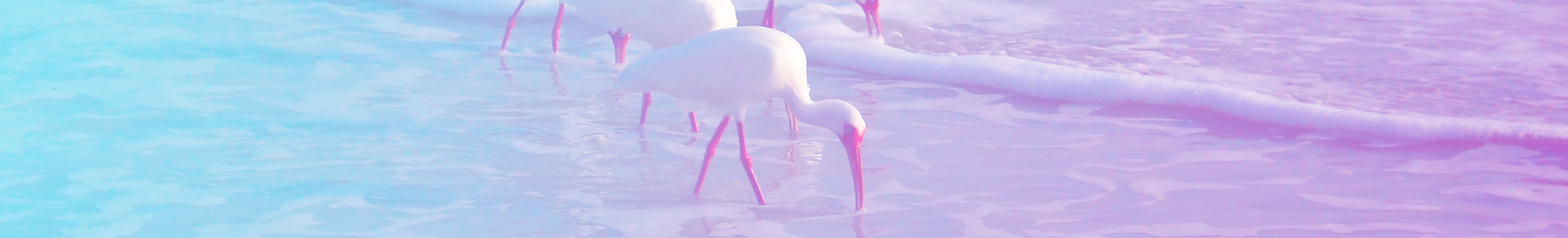 Regu_1600x640
