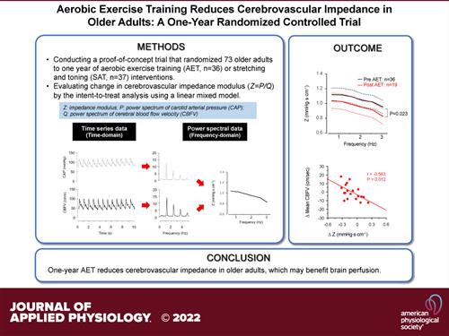 Conclusion: One year Aerobic Exercise Training reduces cerebrovascular impedance in older adults, which may benefit brain perfusion