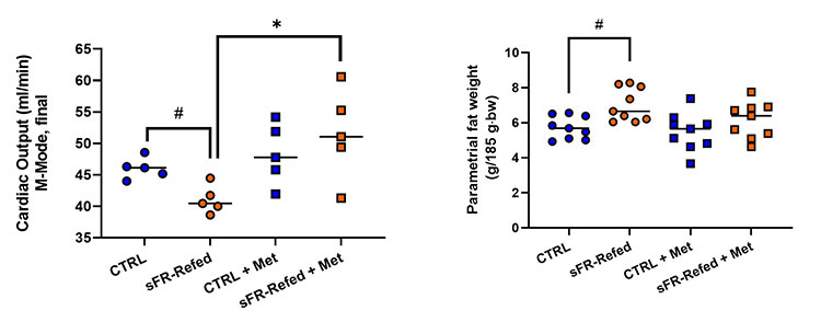 Cardiac Output scatterplot in ml/min units. CTRL 45. sFR-Refed 40. CTRL + Met 48. sFR-Refed + Met just over 50. Parametrial fat weight scatterplot in g/185 g-bw units. CTRL just below 6, sFR-Refed around 7, CTRL + Met at 6, sFR-Refed + Met just above 6.