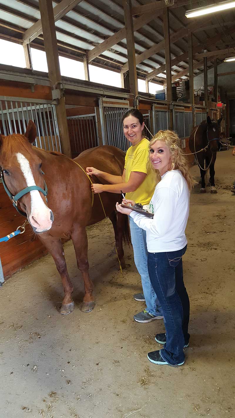 Johnson_20160Johnson, in the back, works with a student to collect physical and endocrine data from a horse to measure its unique responses to becoming obese.712_095042