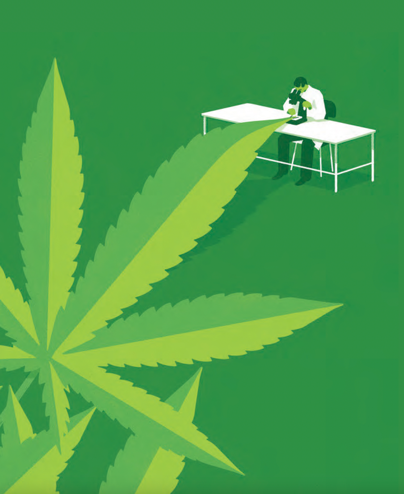 medical marijuana controversial issue