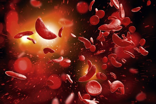 Idaho Army National Guard Staff Sgt. Lauren Cox during an 11-mile trek with a 40-pound pack in Idaho in September. Idaho Army National Guard Staff Sgt. Lauren Cox during an 11-mile trek with a 40-pound pack in Idaho in September.